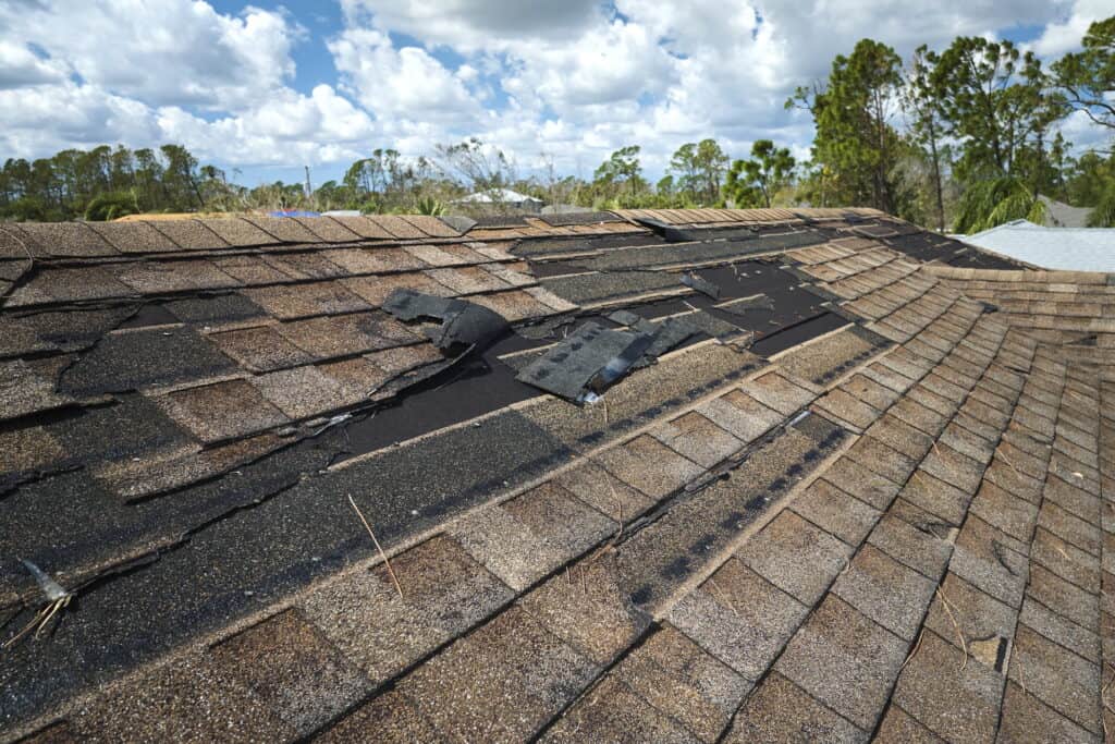 Roof Replacement 3